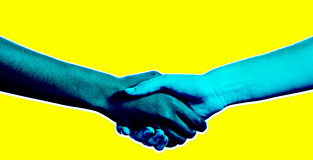 Чтобы переговоры были успешными, не забудьте пожать друг другу руки